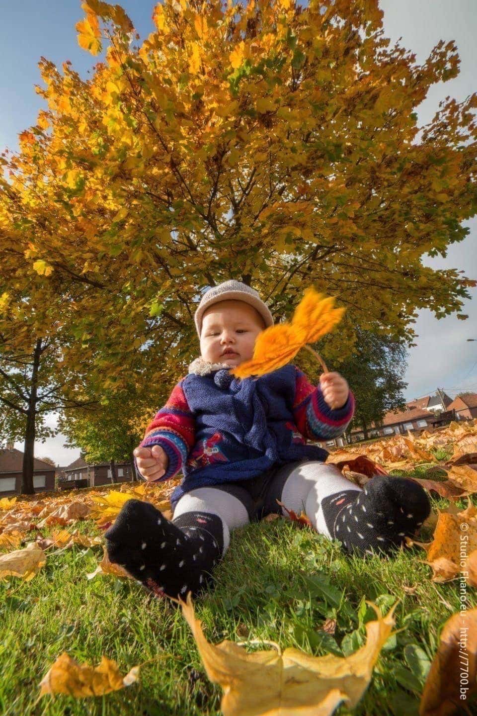 séance photo en extérieur aux couleurs de l'automne avec le Studio Fhano.eu https://www.7700.be