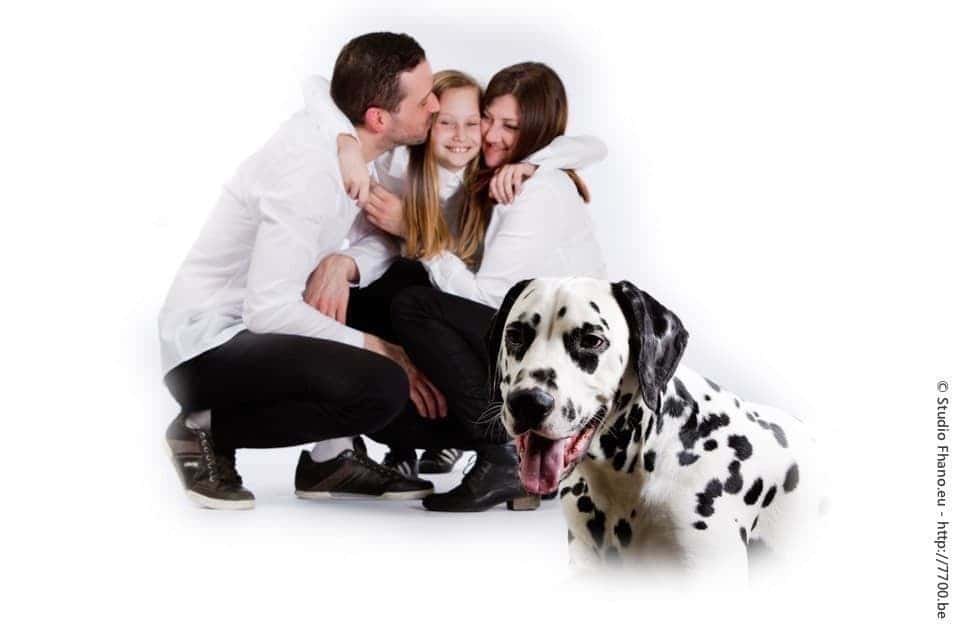 Photo animal de compagnie chien au studio 7700.BE