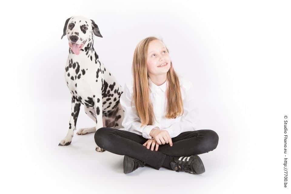 Photo animal de compagnie chien au studio 7700.BE