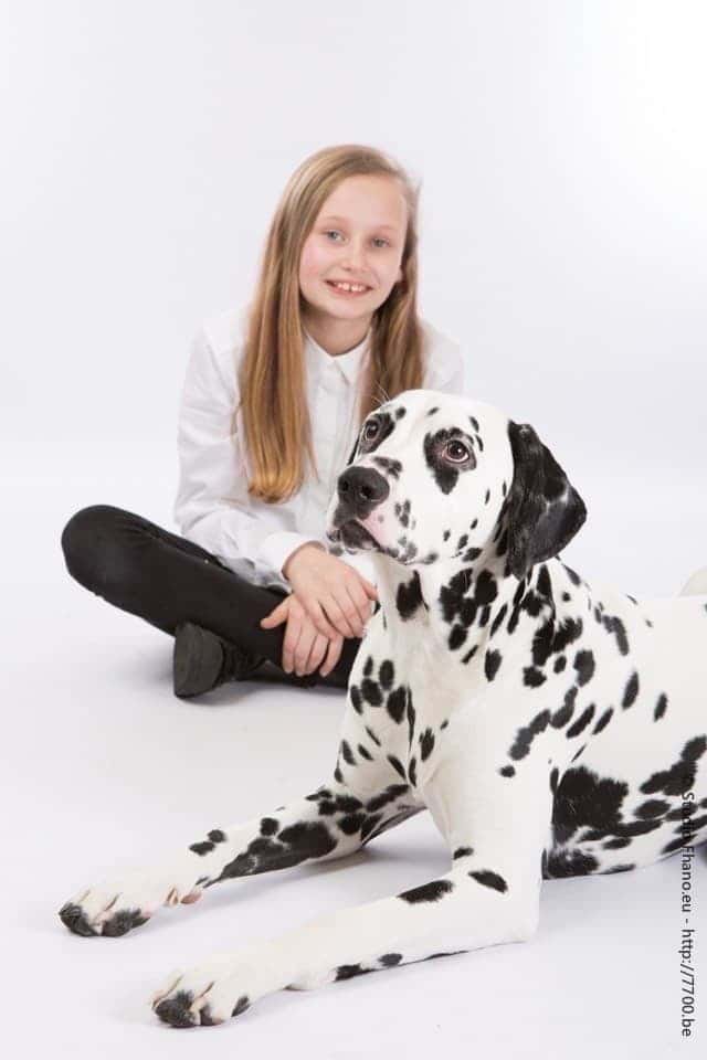 Photo animal de compagnie chien au studio 7700.BE