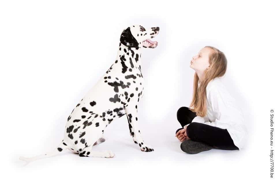 Photo animal de compagnie chien au studio 7700.BE